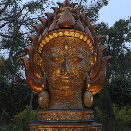 5 Experiences to make the most of your stay in New Delhi