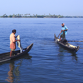 Economy of the Ashtamudi Lake area