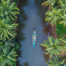 A bird’s eye view of Ashtamudi
