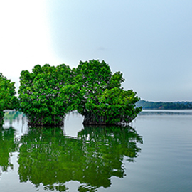 Holiday destinations in Kerala