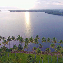Bird watching in Ashtamudi