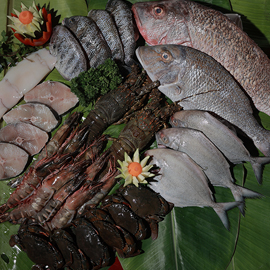 Nutritional benefits of fresh water fishes