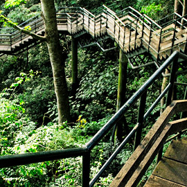 Ecotourism in Kerala