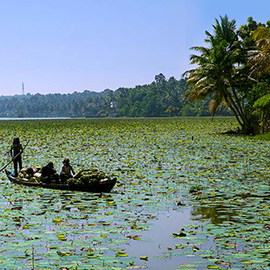 Vellayani Lake