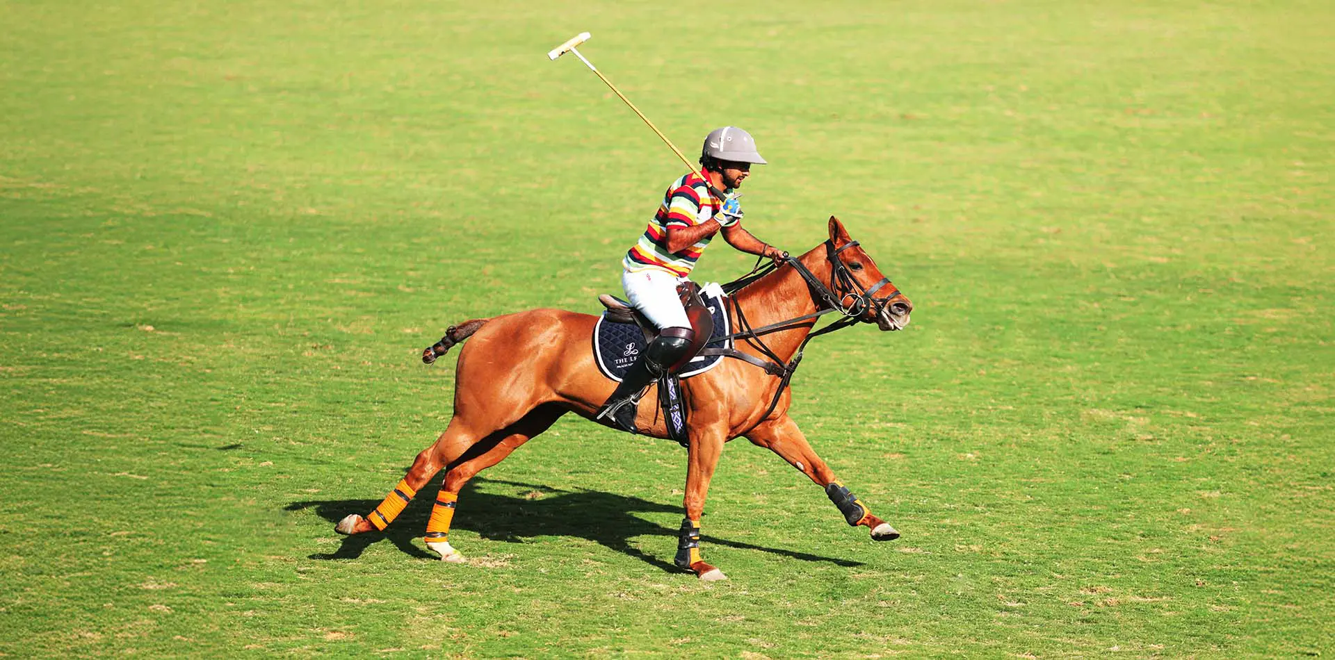Polo in the Pink City