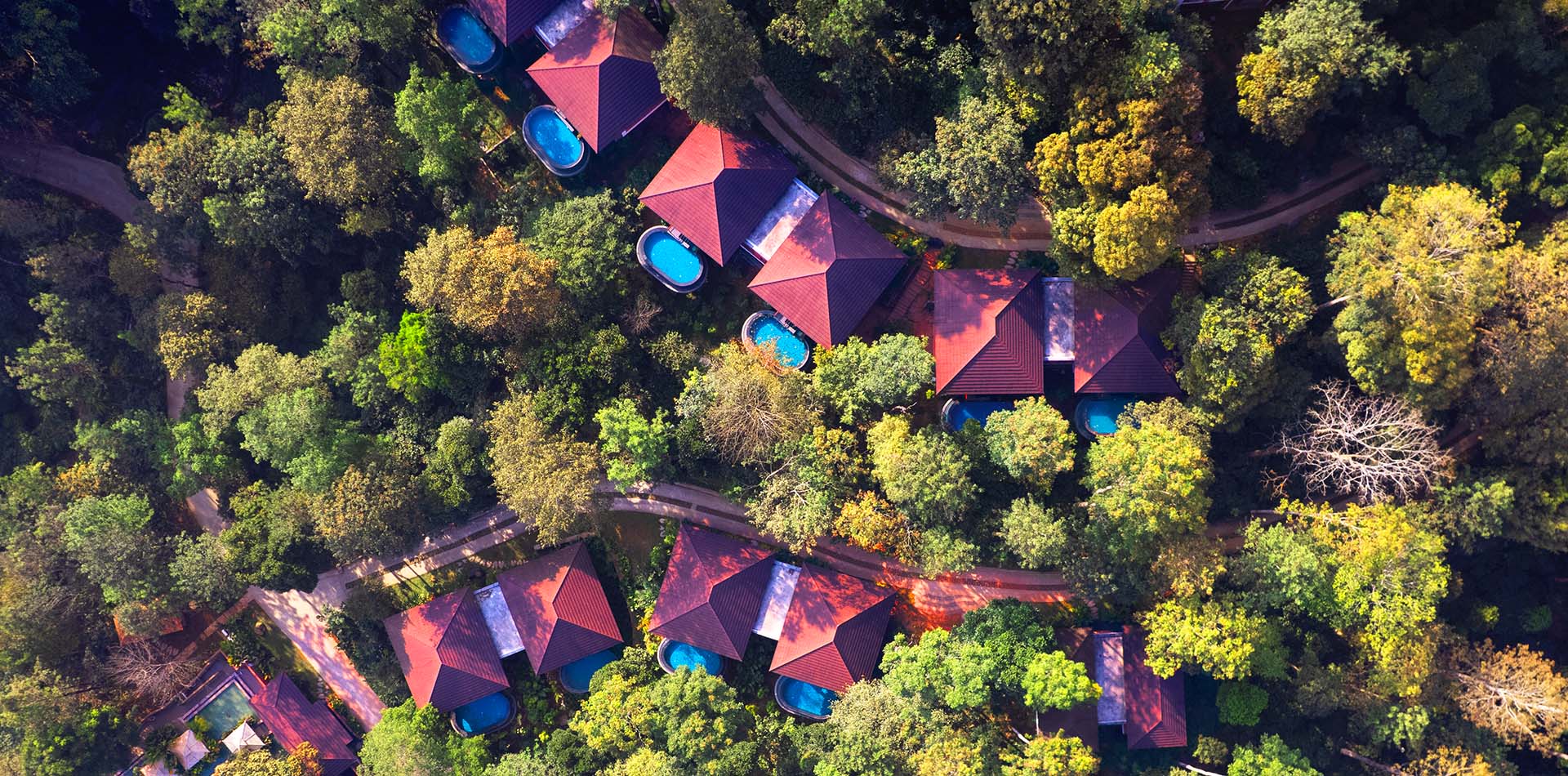 The Leela Coorg Forest Sanctuary