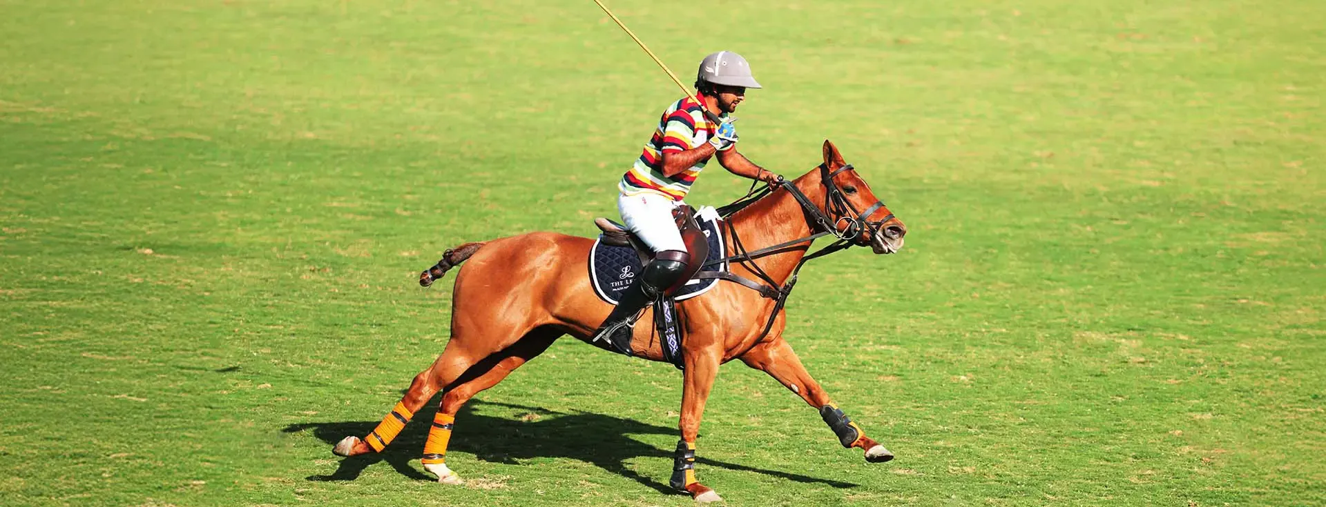 Polo in the Pink City