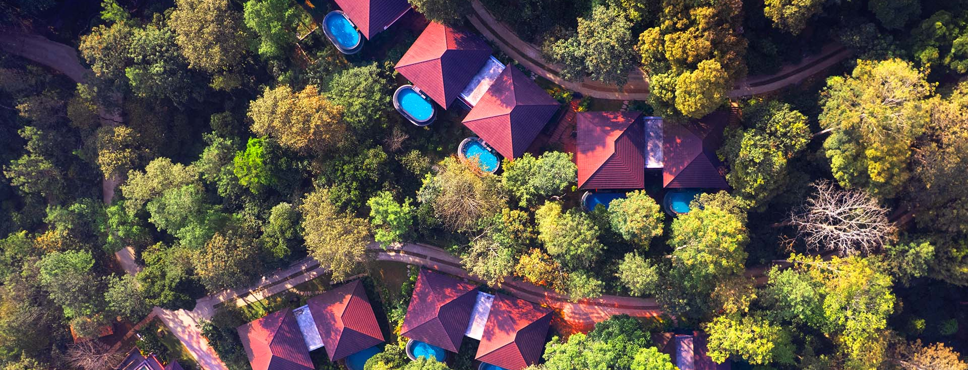 The Leela Coorg Forest Sanctuary