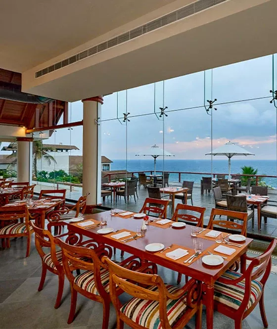 The Terrace